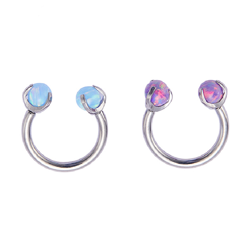 ASTM F136 Titanium Implant Gra - Body Jewelry Implant Grade recensione e prezzo